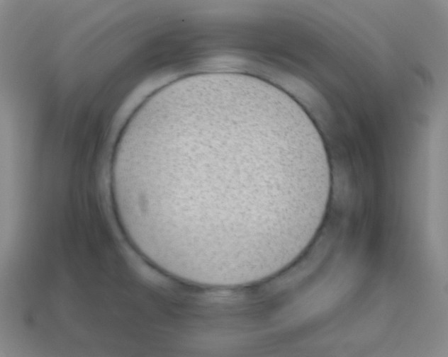 X0000113041478200910081201