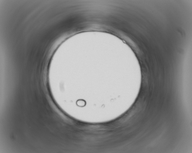 X0000113041479200910081201
