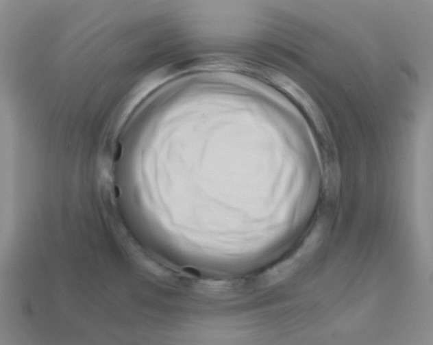 X0000113041481200910081201