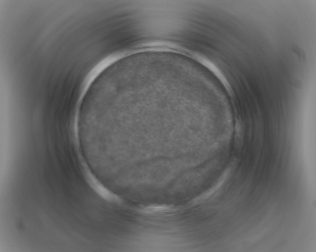 X0000113041482200910081201