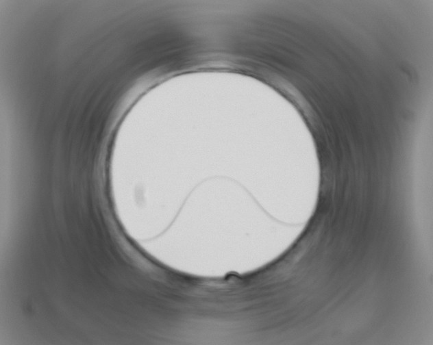 X0000113041483200910081201