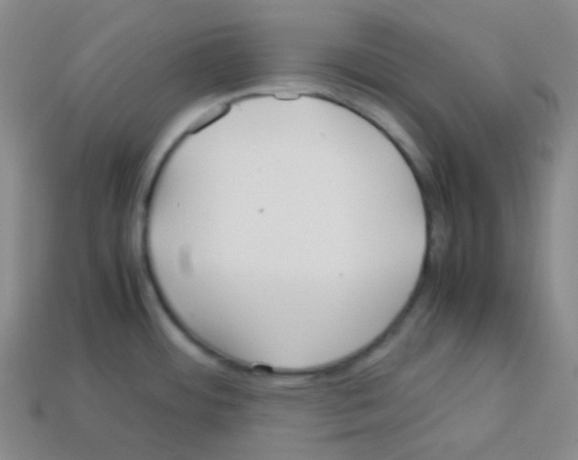 X0000113041484200910081201