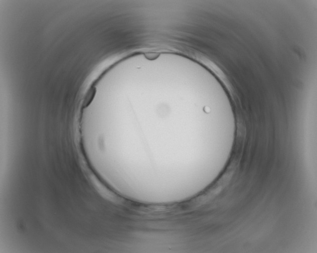 X0000113041485200910081201