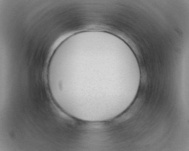 X0000113041486200910081201