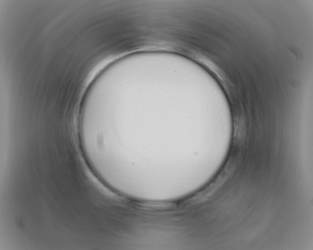 X0000113041487200910081201