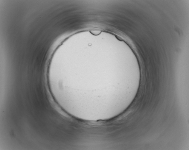 X0000113041488200910081201