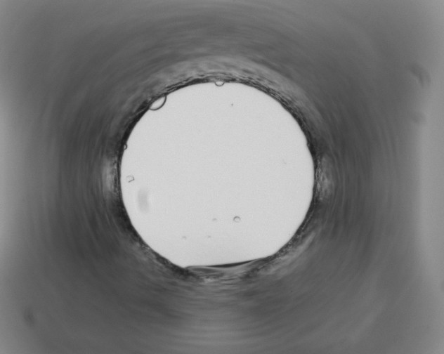 X0000113041490200910081200