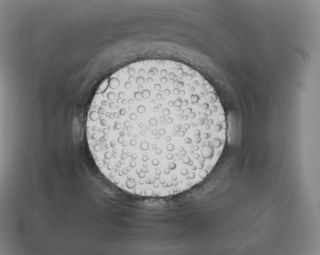 X0000113041491200910081200