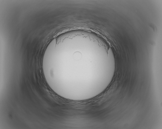 X0000113041492200910081200