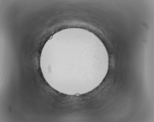 X0000113041493200910081200