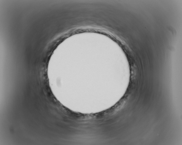 X0000113041494200910081200