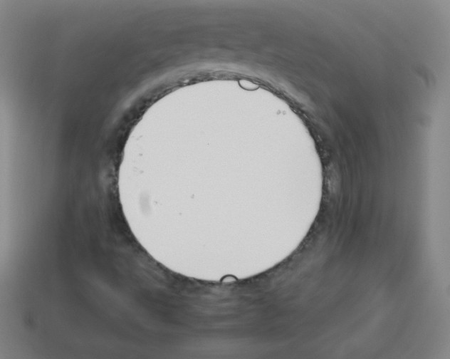 X0000113041495200910081200
