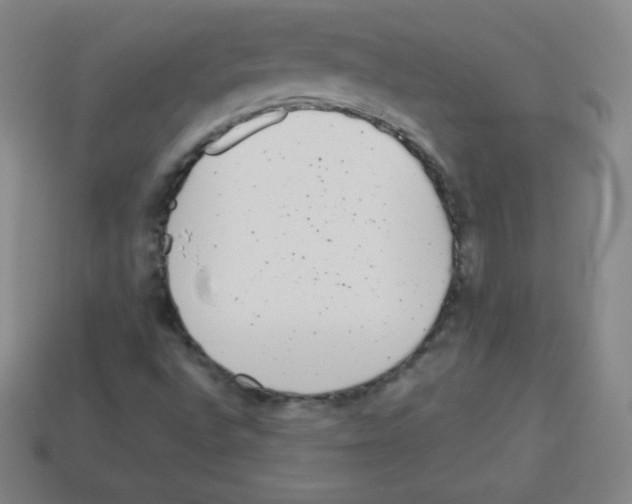X0000113041496200910081200