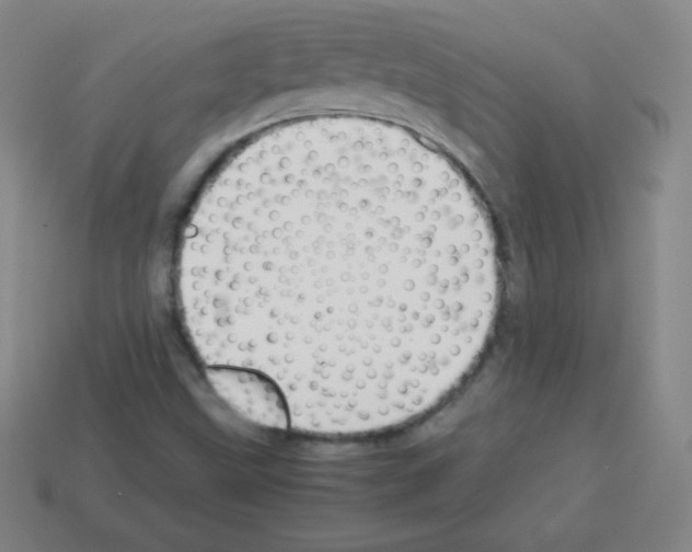 X0000113041499200910081200