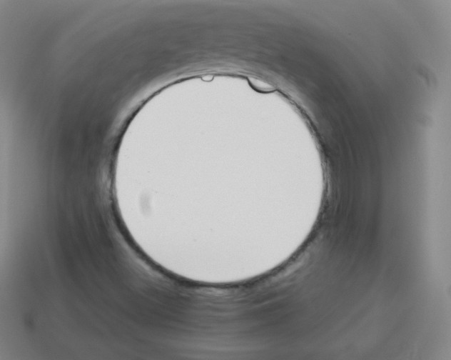 X0000113041500200910081200