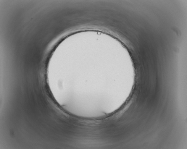 X0000113041502200910081200