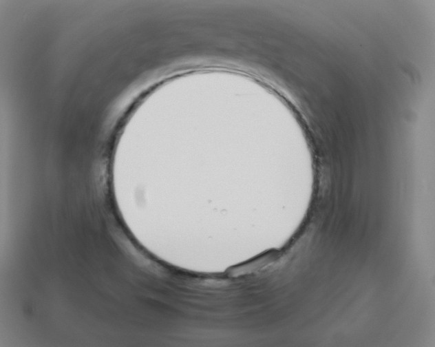 X0000113041503200910081200