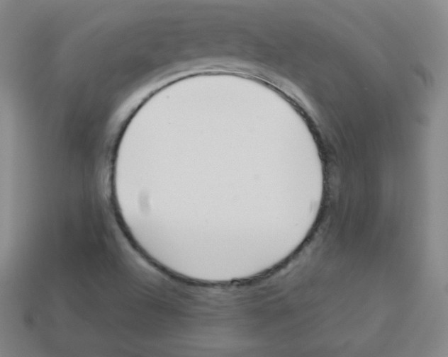X0000113041504200910081200