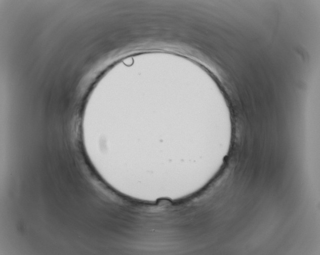 X0000113041507200910081200