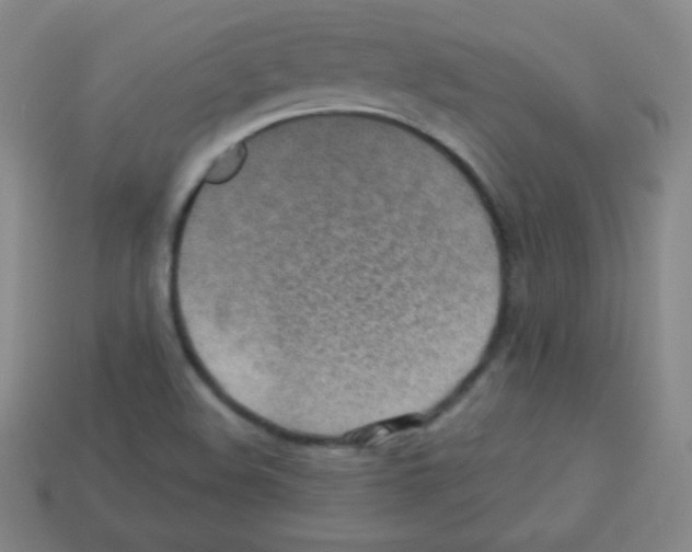 X0000113041508200910081200