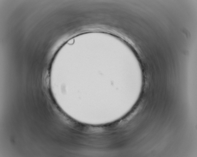 X0000113041509200910081200