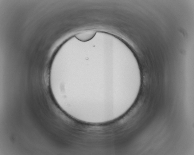 X0000113041510200910081200