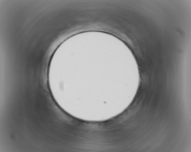 X0000113041512200910081200