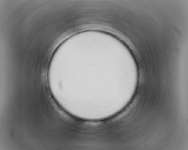 X0000113041513200910081200