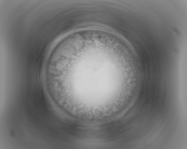 X0000113041514200910081200