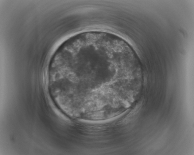 X0000113041515200910081200