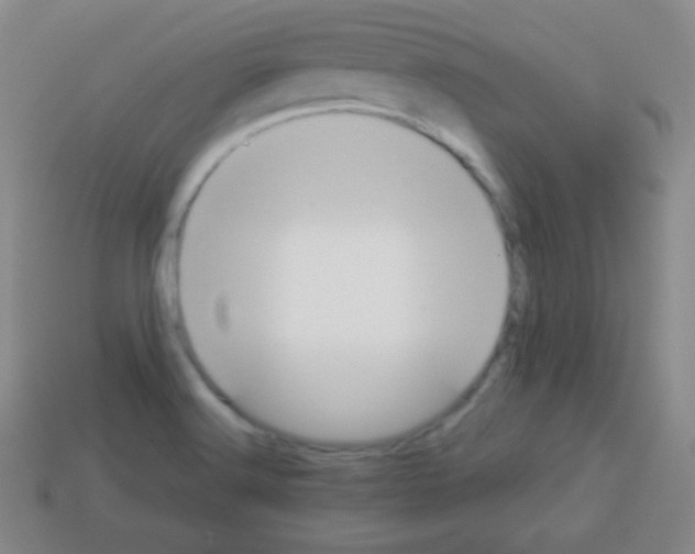 X0000113041516200910081200