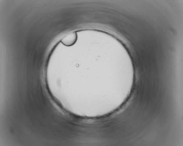X0000113041517200910081200