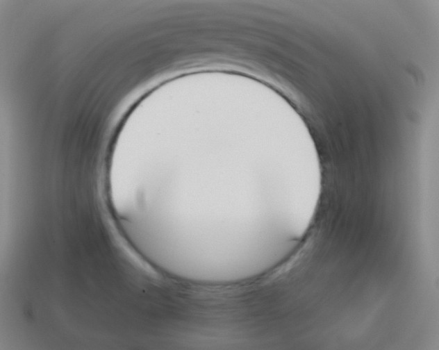 X0000113041518200910081200