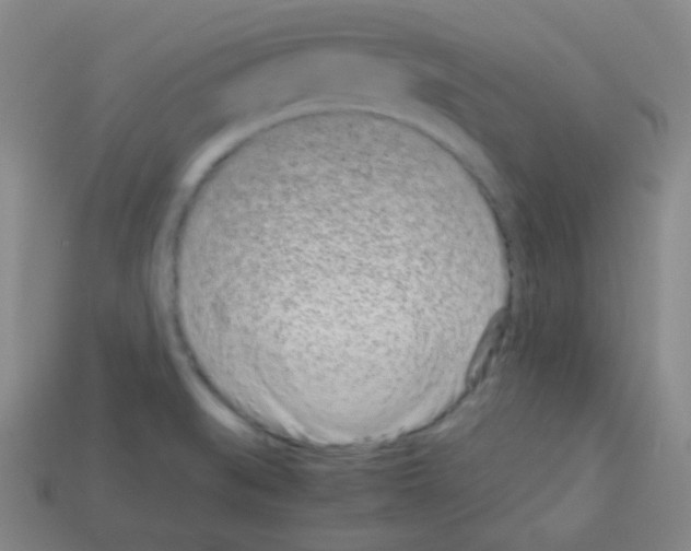 X0000113041519200910081200