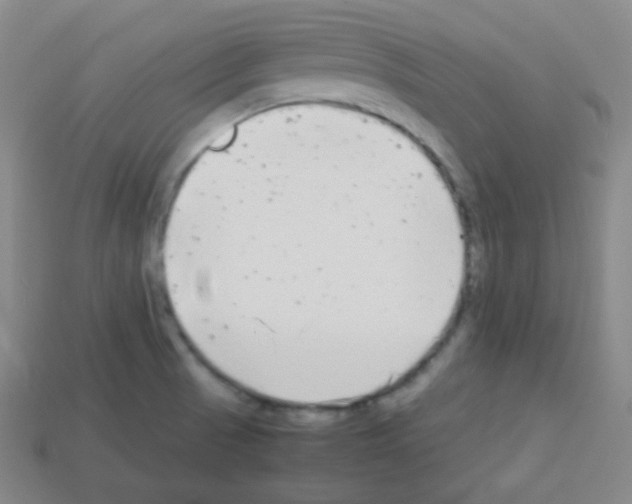 X0000113041521200910081200