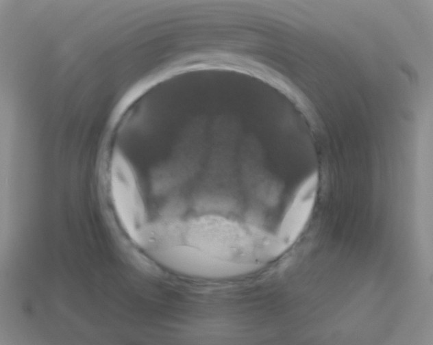 X0000113041522200910081200