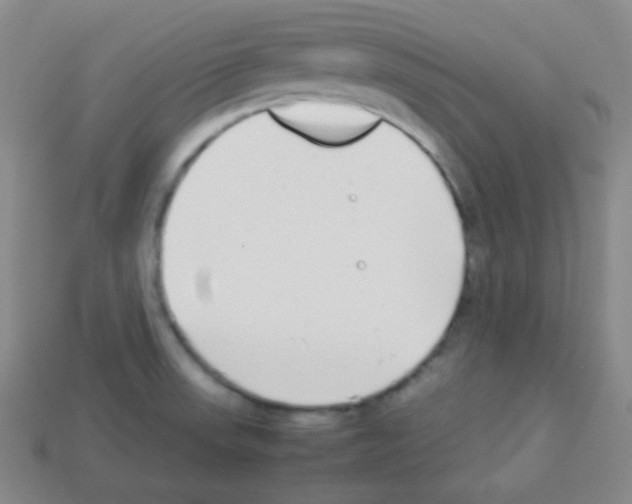 X0000113041523200910081200