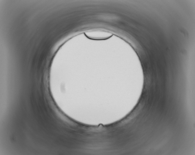 X0000113041526200910081201