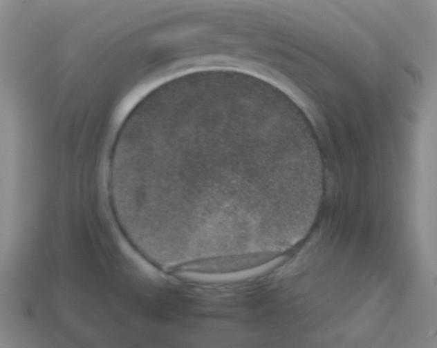 X0000113041527200910081201