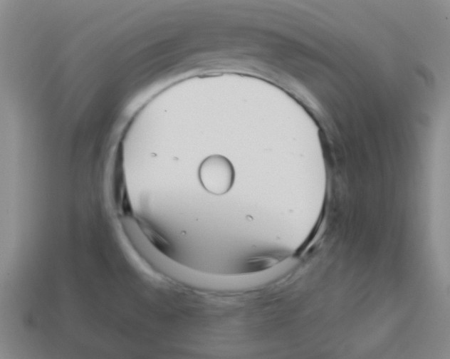 X0000113041528200910081201