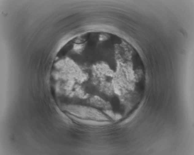 X0000113041529200910081201