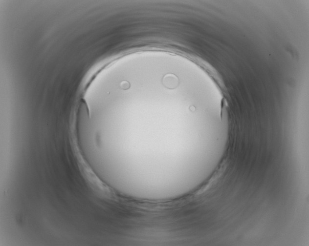 X0000113041530200910081201
