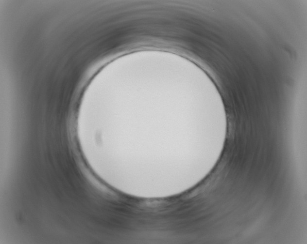 X0000113041531200910081201