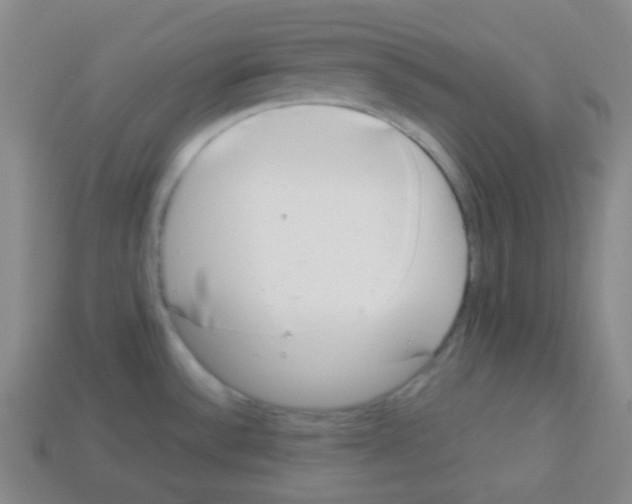 X0000113041532200910081201
