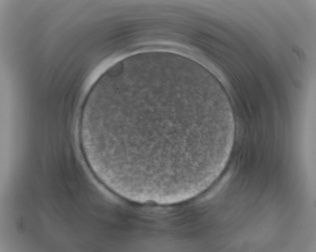 X0000113041533200910081201