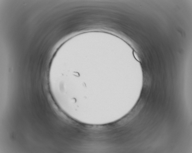 X0000113041534200910081201