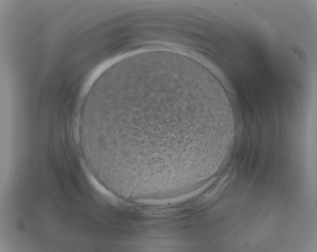 X0000113041535200910081201