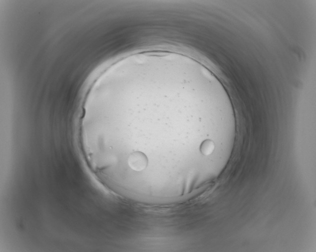 X0000113041536200910081201