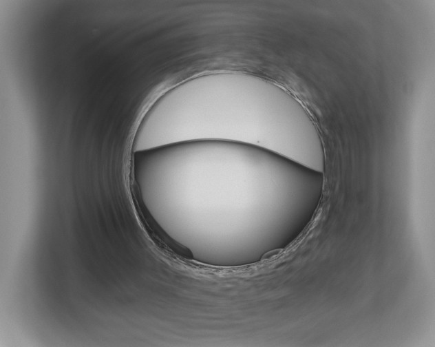 X0000113050003200908271104