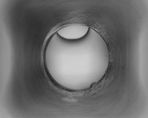 X0000113050004200908271104
